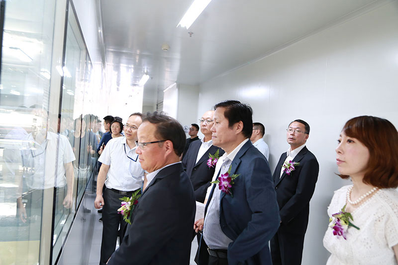 新纶科技老总_新纶科技拖鞋图片(3)